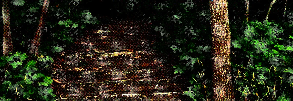 An old stairway into the wilderness. It is surrounded by green forest. The top of the stairs is in the forest and very dark.